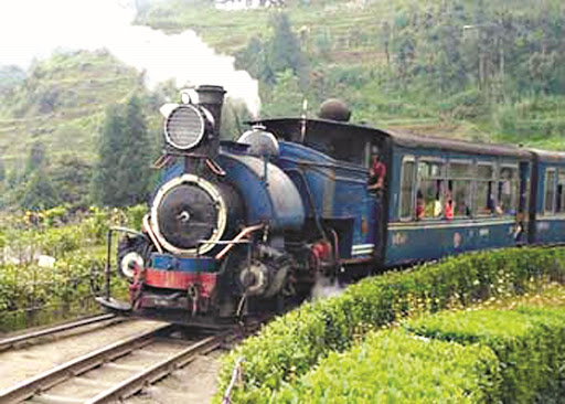 Darjeeling Toy train